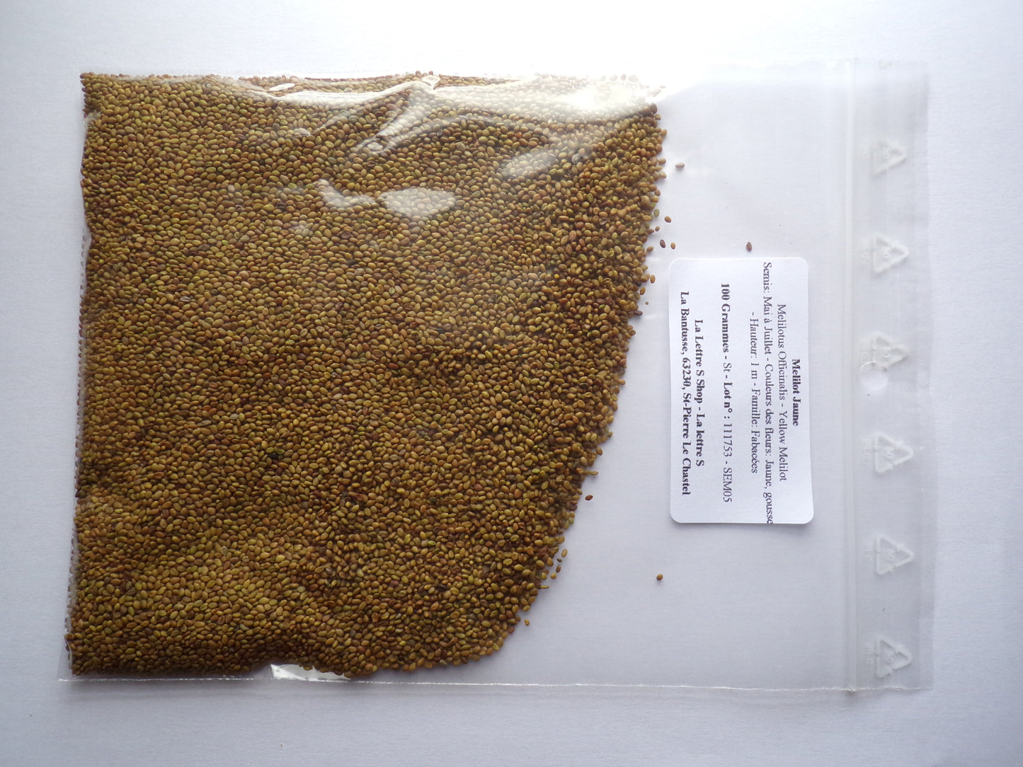 Mélilot Jaune - Melilotus Officinalis (Engrais Vert) SEM05