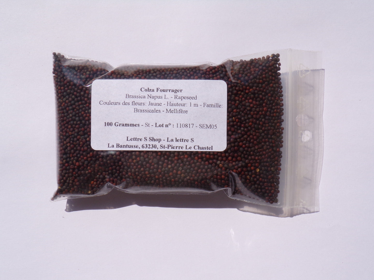 Colza Fourrager - Brassica Napus L. (Engrais Vert) SEM05