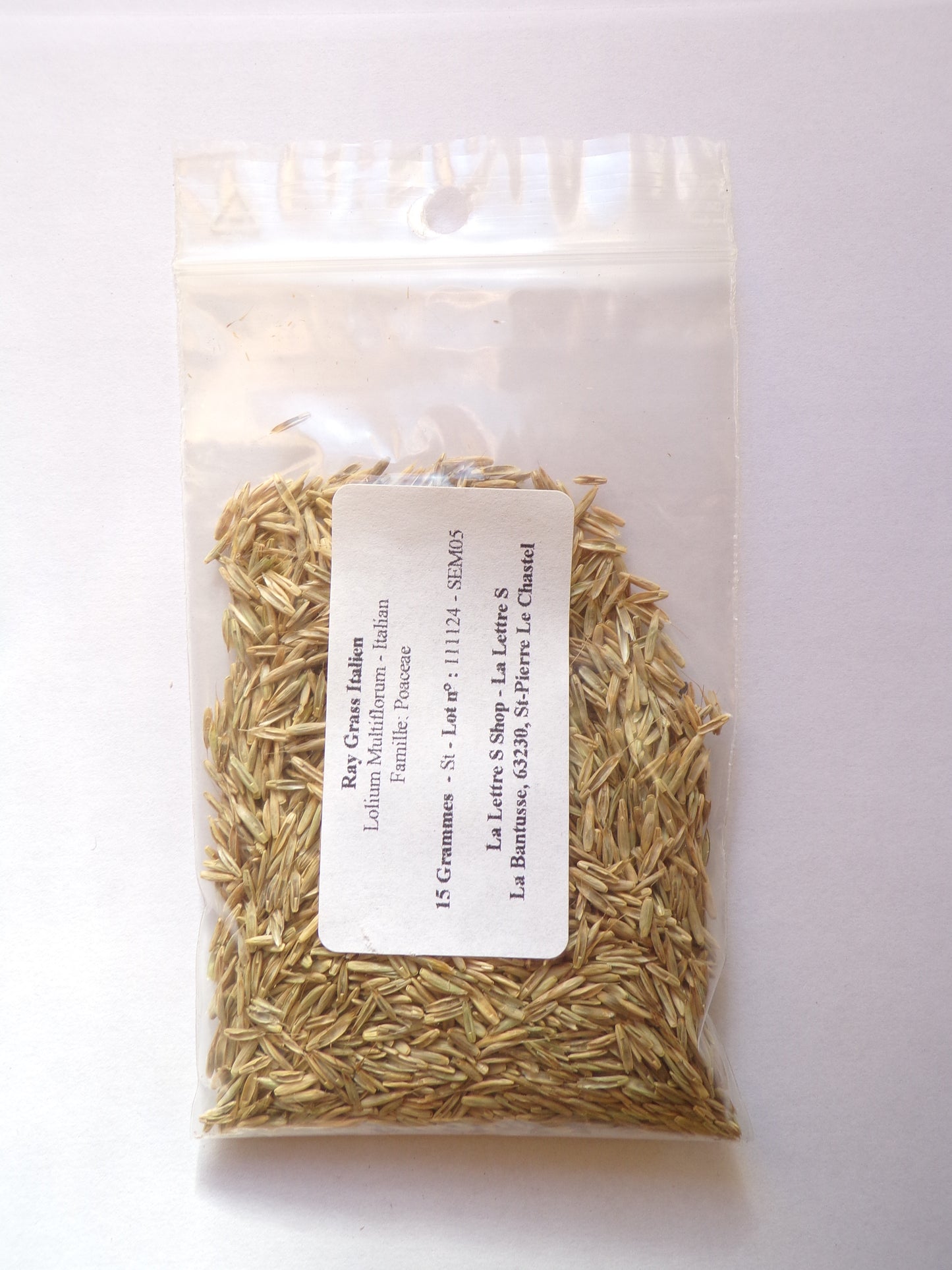 Ray Grass Italien - Lolium Multiflorum (Engrais Vert) SEM05