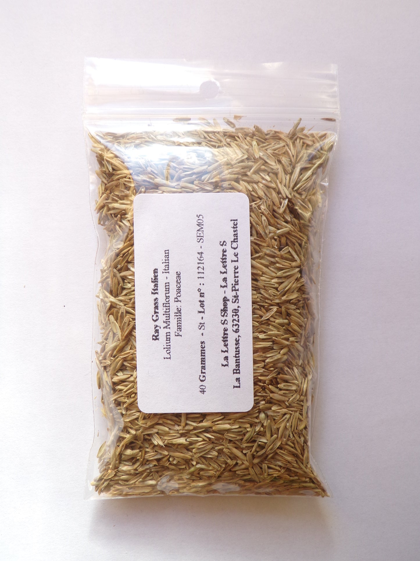 Ray Grass Italien - Lolium Multiflorum (Engrais Vert) SEM05