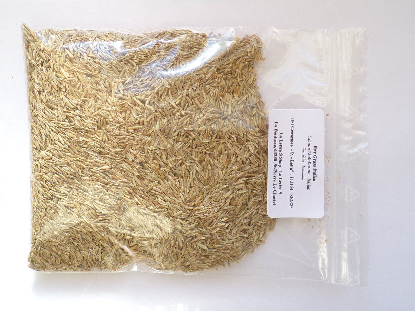 Ray Grass Italien - Lolium Multiflorum (Engrais Vert) SEM05