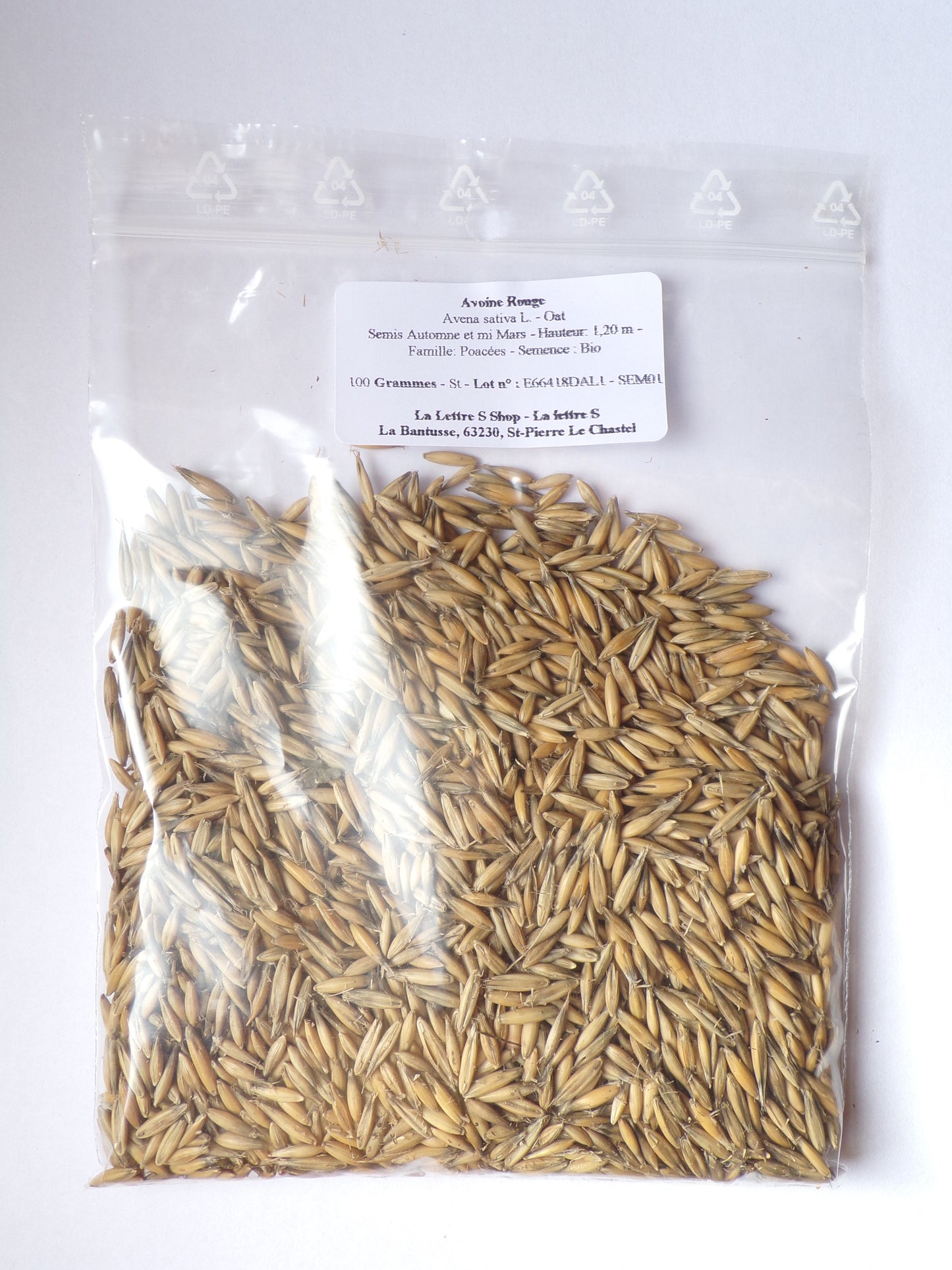 Avoine Rouge - Avena sativa L. (Engrais Vert) SEM01