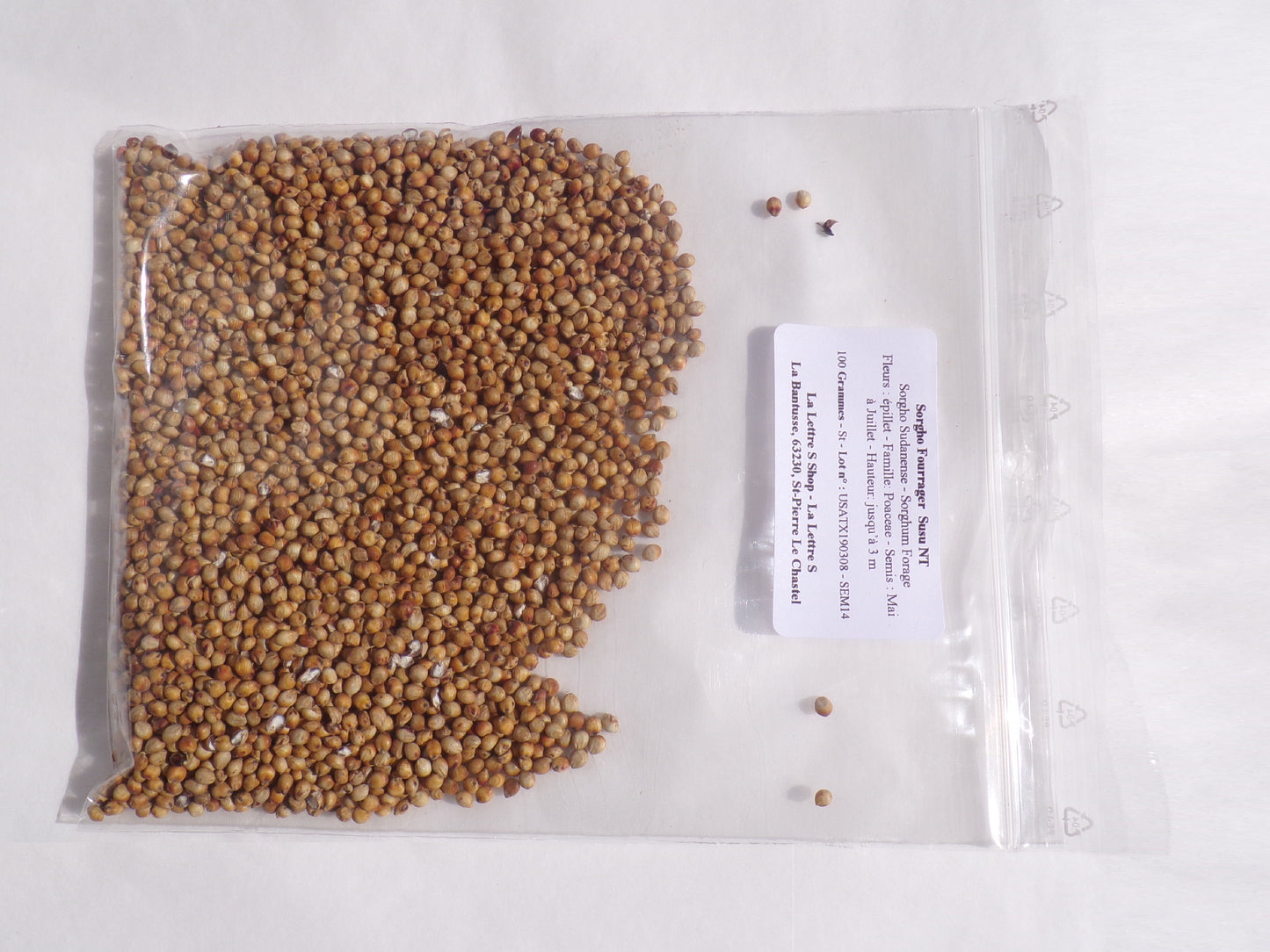 Sorgho Fourrager - Sorgho Sudanense (Engrais Vert) SEM14