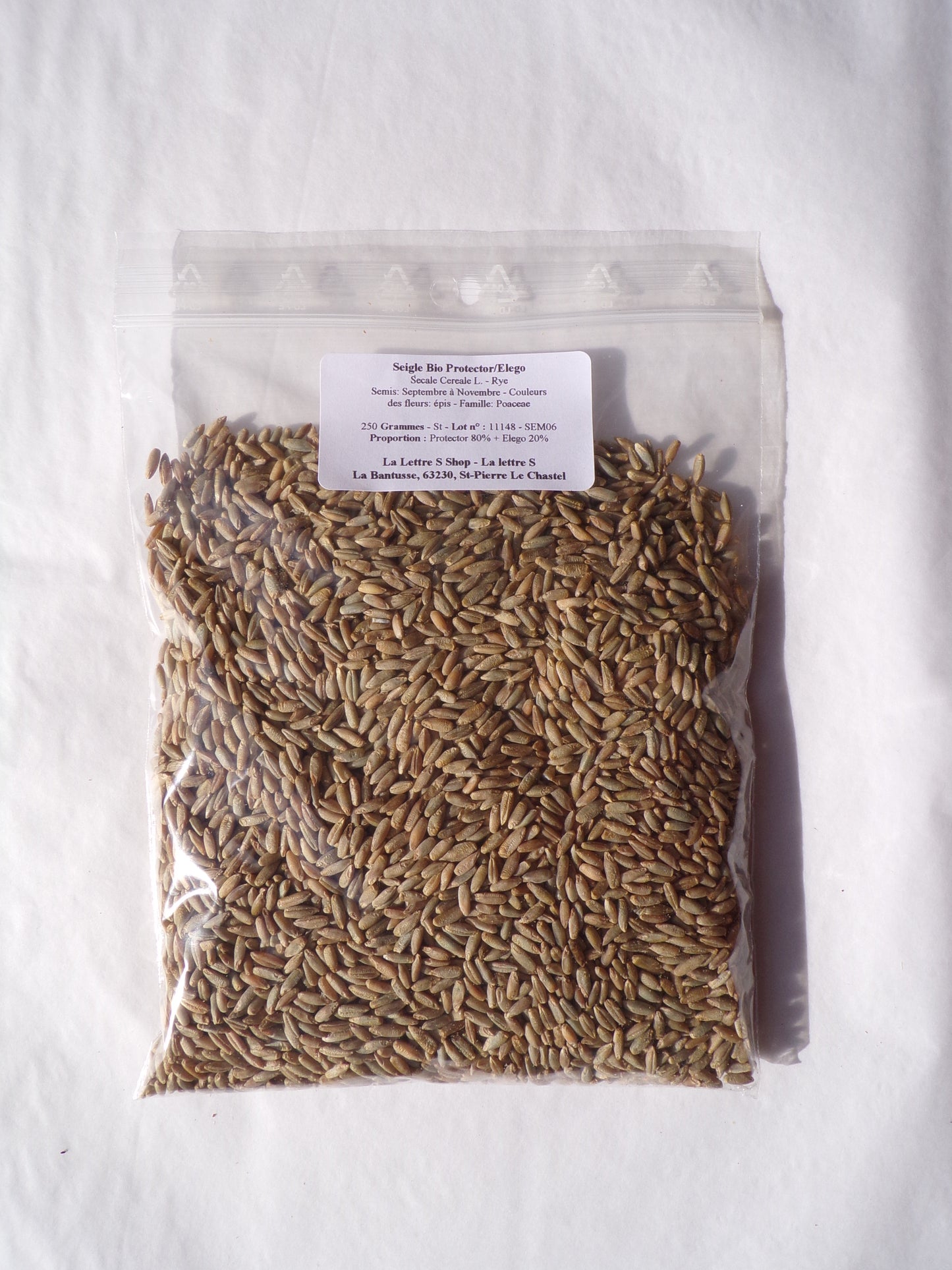 Seigle Bio - Secale Cereale L. (Engrais Vert) SEM06