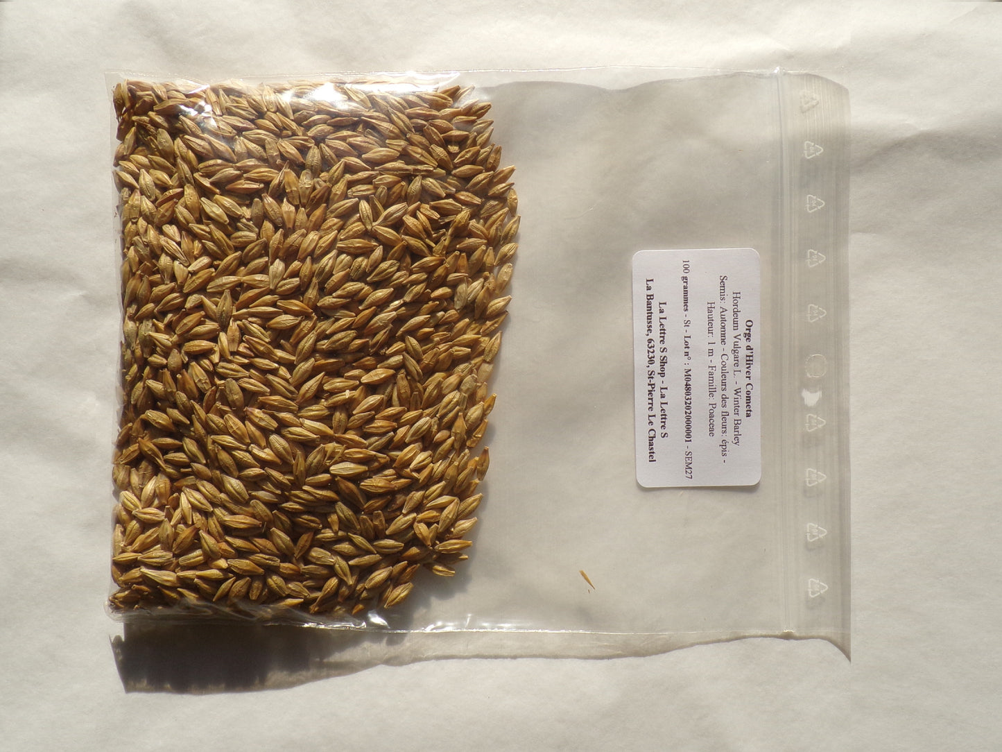 Orge d’Hiver - Hordeum Vulgare L. (Engrais Vert) SEM27