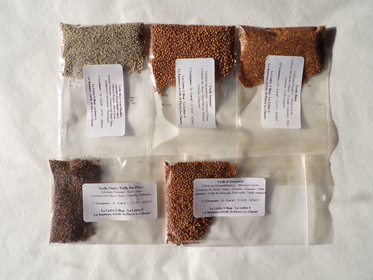 Offre Trèfle : 5 Variétés - 5 Sachets (Engrais Vert)
