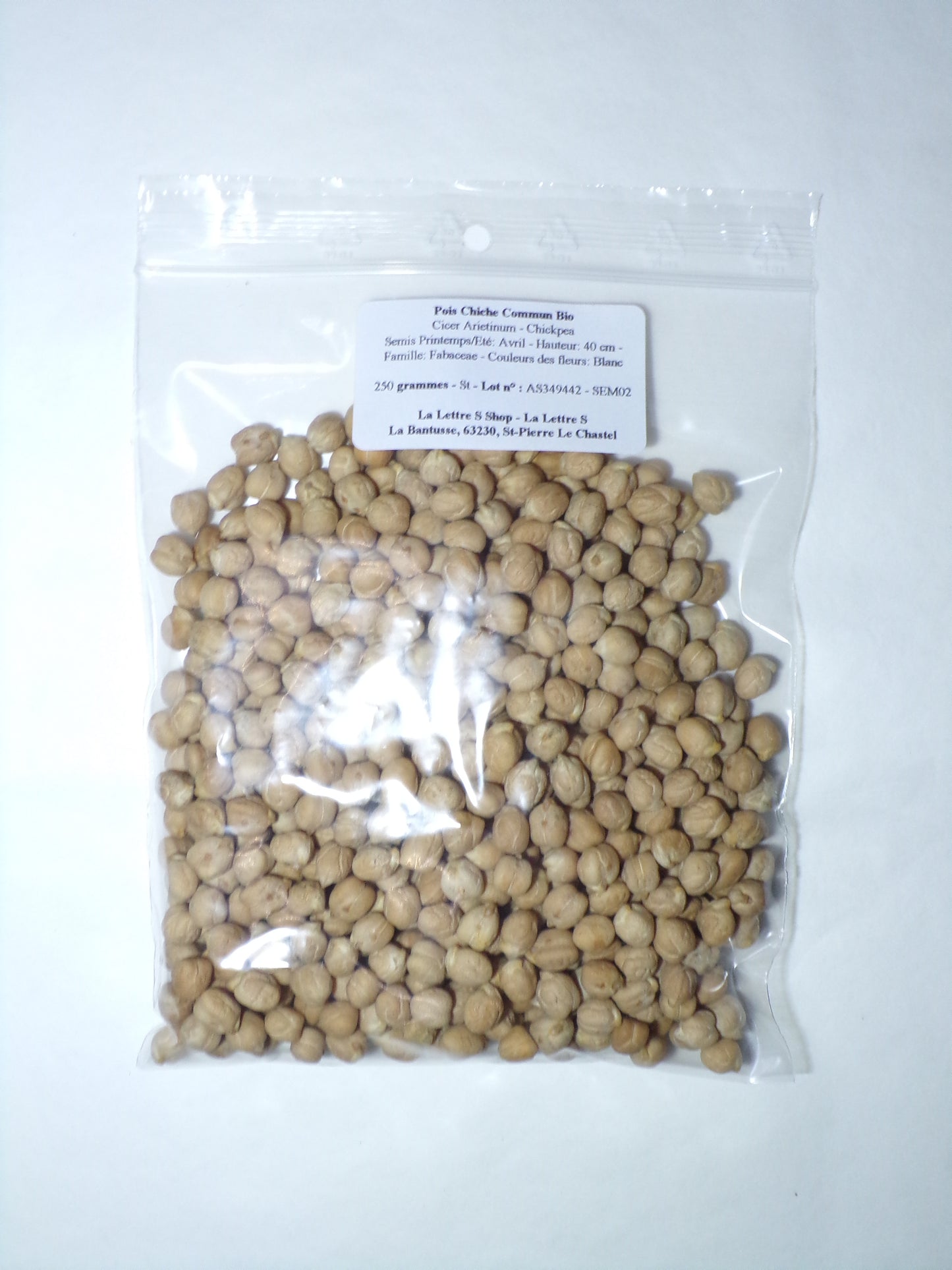 Pois Chiche - Cicer Arietinum – SEM02