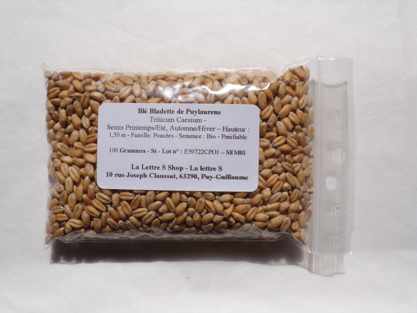 Blé Bladette de Puylaurens - Triticum Aesium (Engrais Vert) SEM01