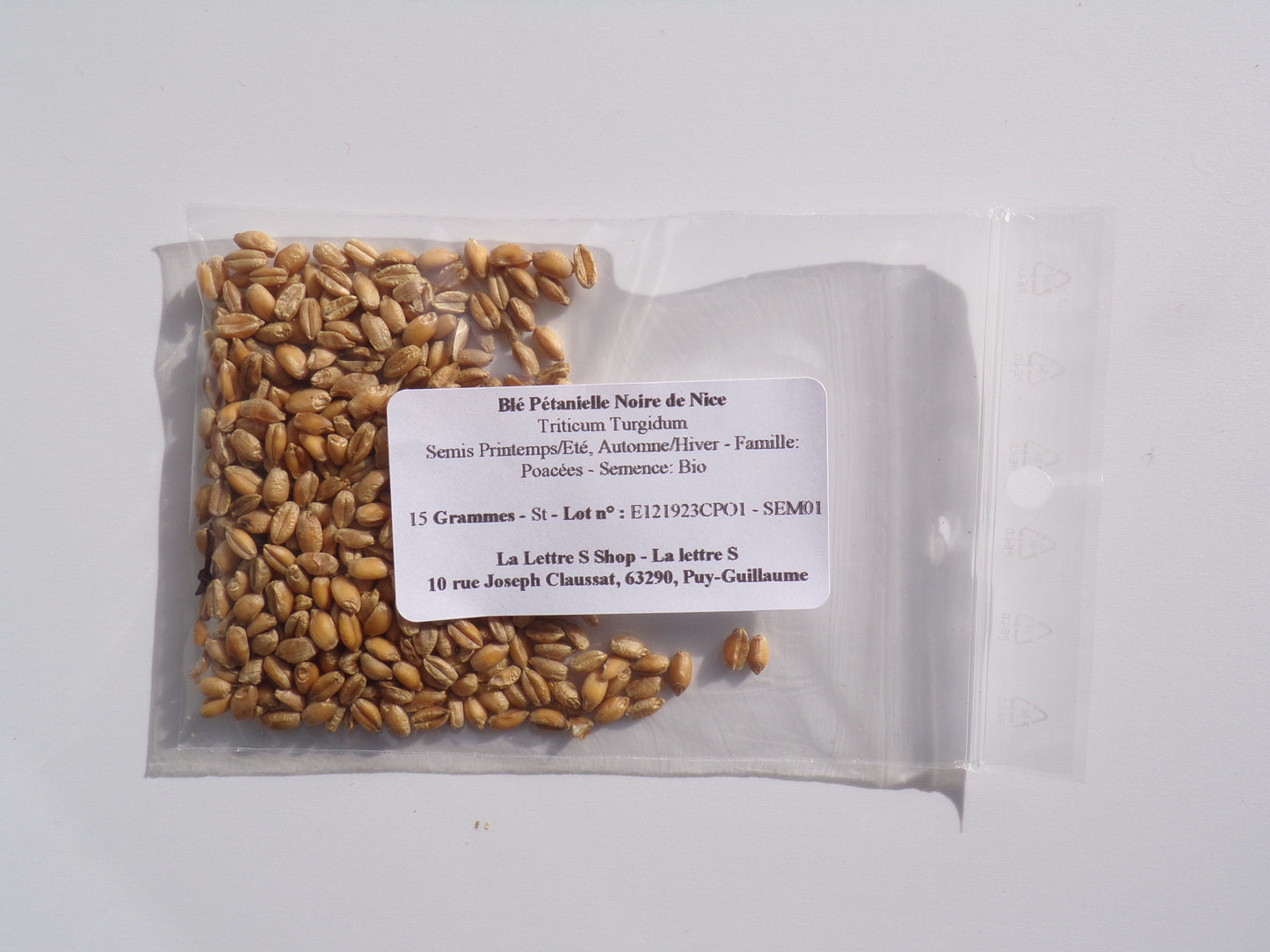 Blé Pétanielle Noire de Nice - Triticum Turgidum (Engrais Vert) SEM01