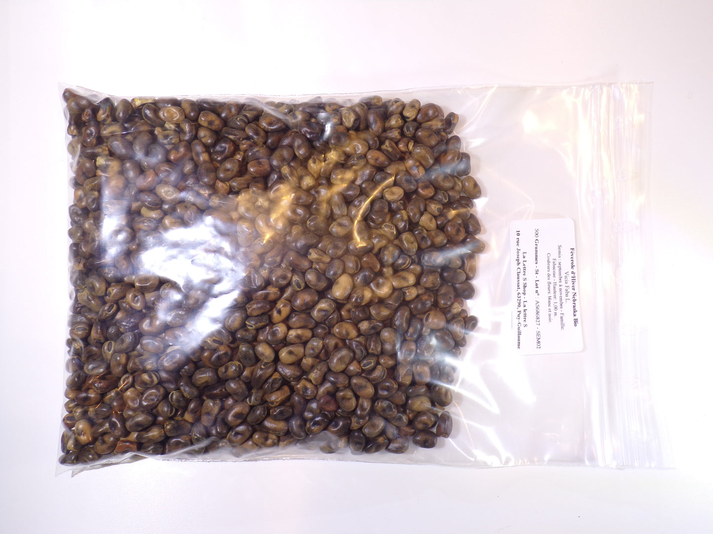 Féverole d‘Hiver Bio - Vicia Faba L. (Engrais Vert) SEM02