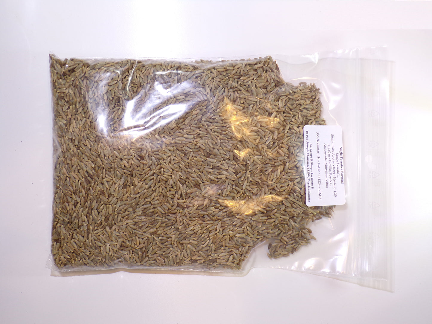 Seigle Forestier - Secale Cereale L. (Engrais Vert) SEM14