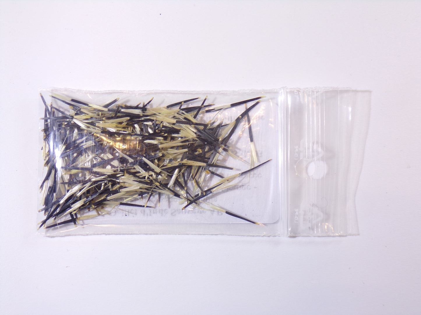 Oeillet d'Inde Sauvage - Tagete Nematicides Patula (Engrais Vert) SEM03