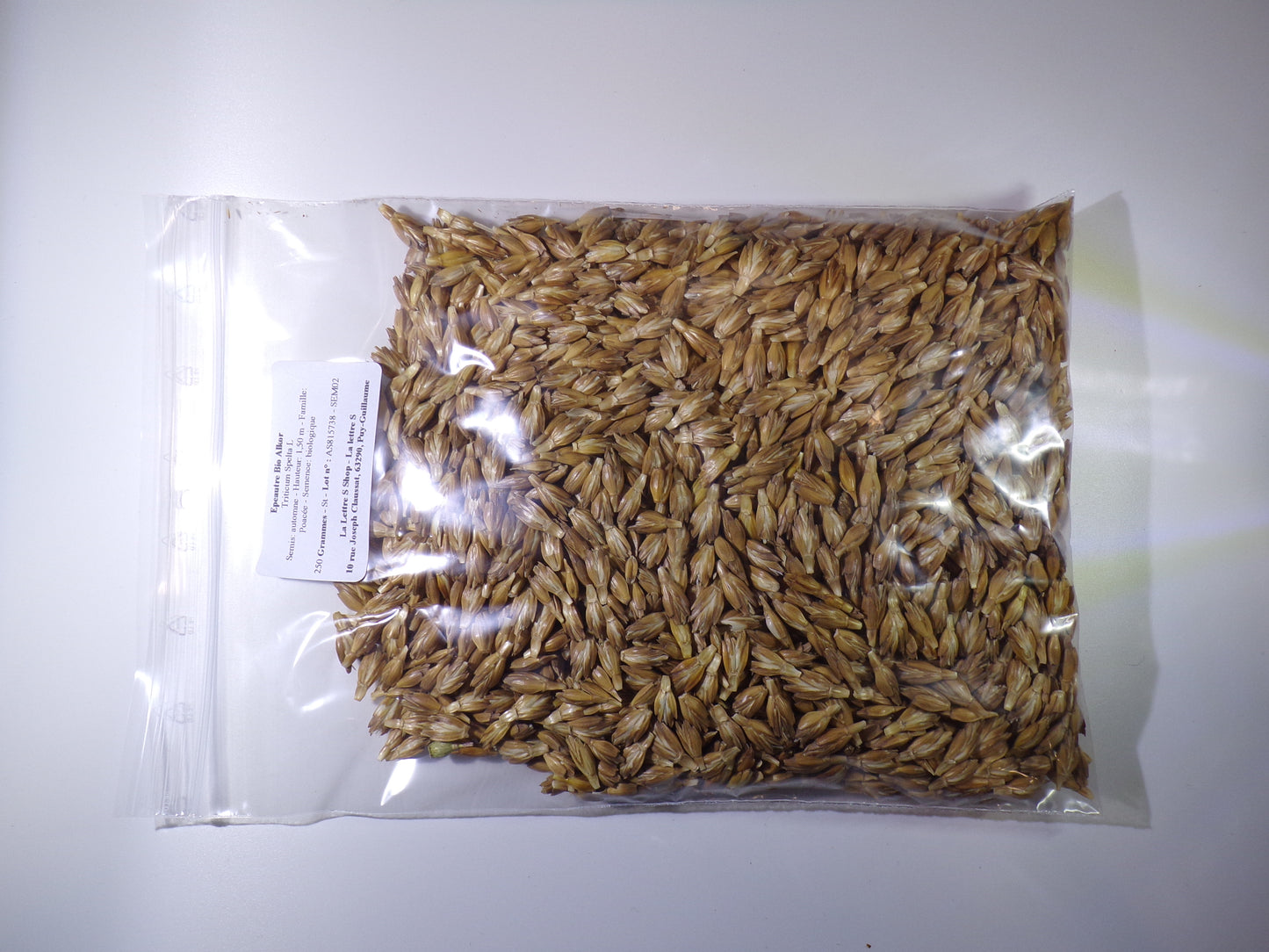 Épeautre Bio - Triticum Spelta L