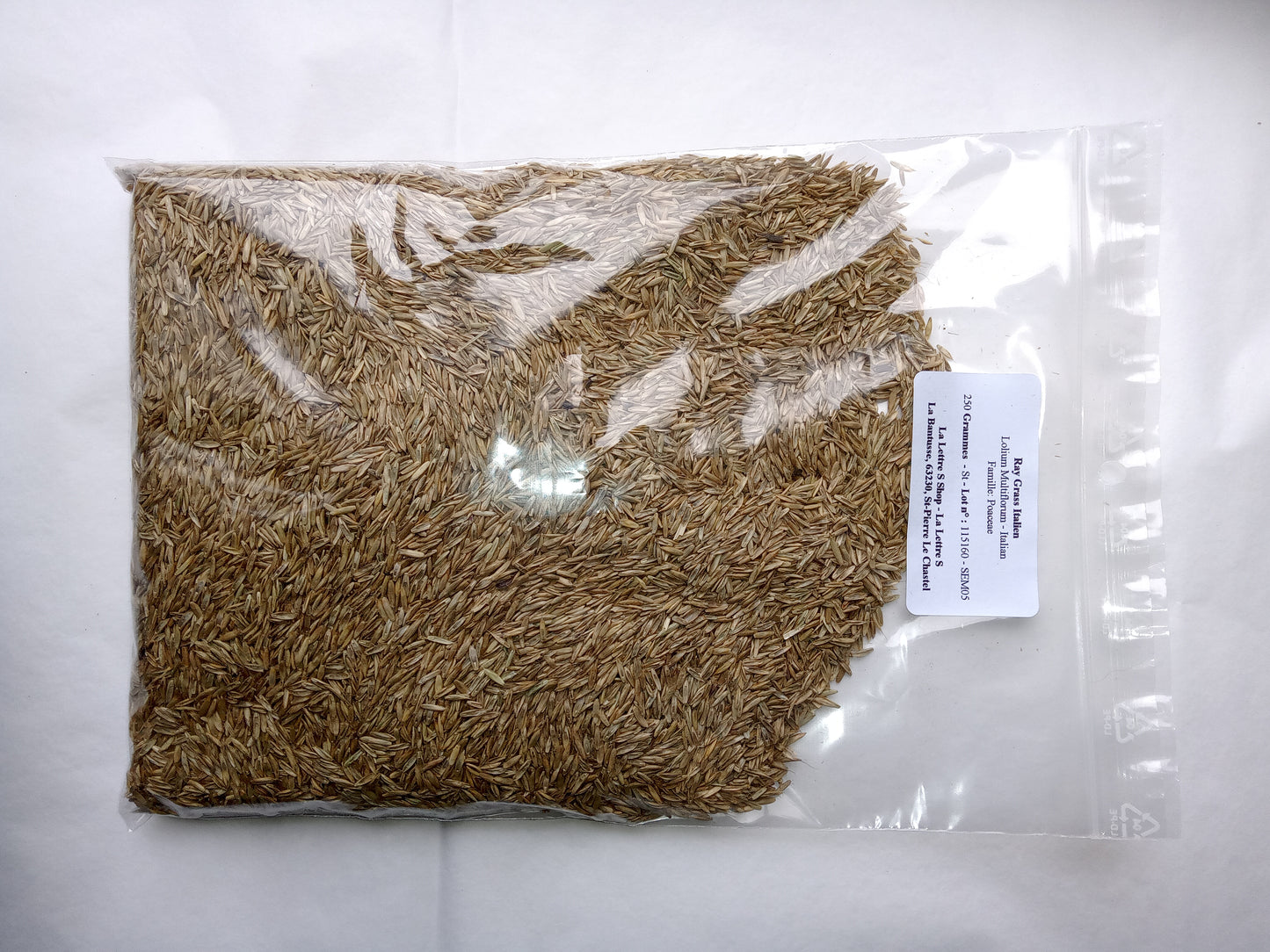 Ray Grass Italien - Lolium Multiflorum (Engrais Vert) SEM05