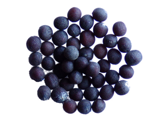 Moutarde Brune - Brassica Juncea (Engrais Vert) SEM05