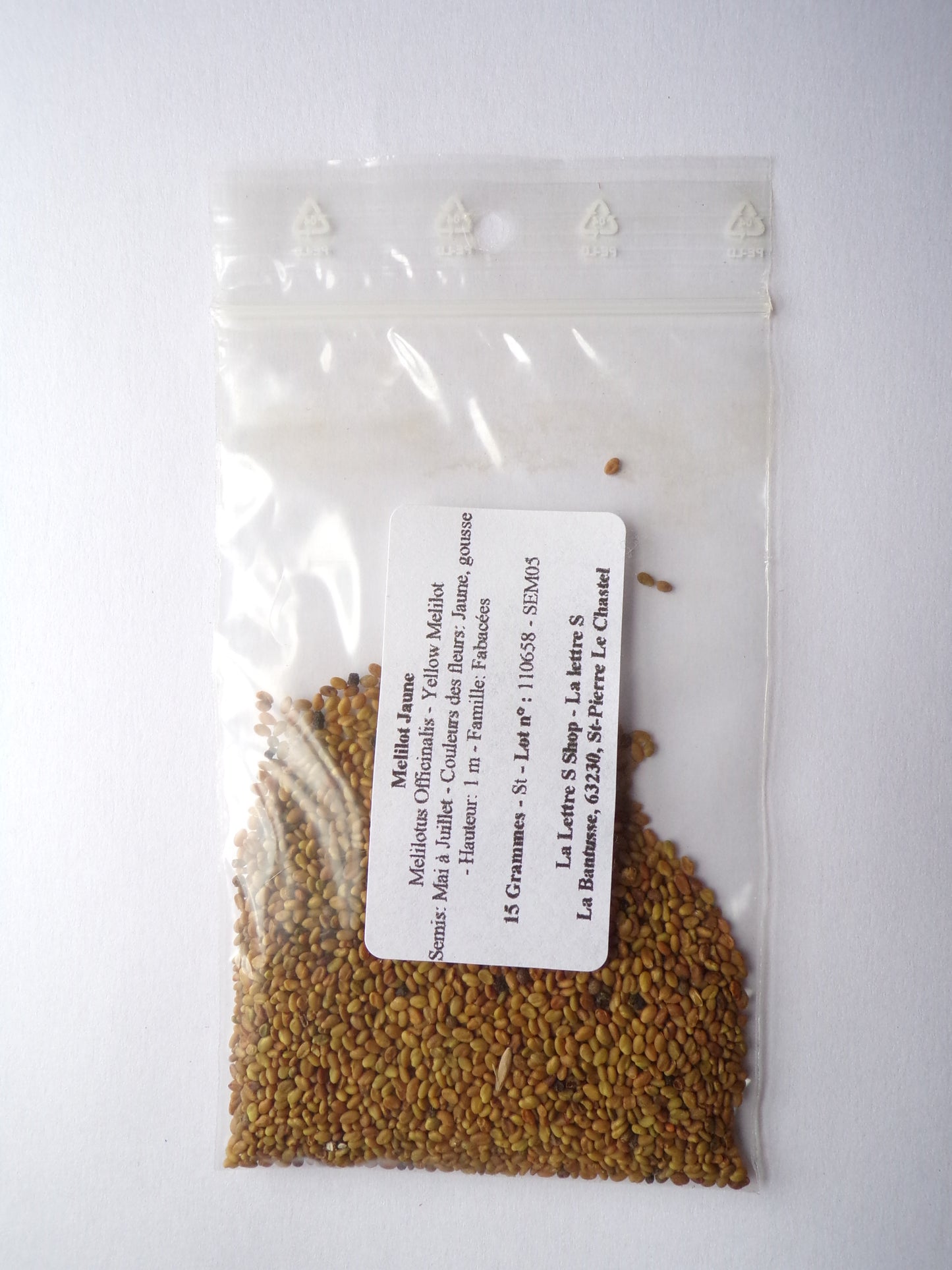 Mélilot Jaune - Melilotus Officinalis (Engrais Vert) SEM05