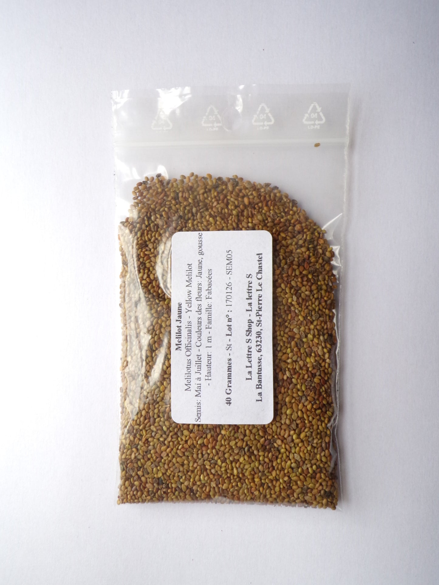 Mélilot Jaune - Melilotus Officinalis (Engrais Vert) SEM05