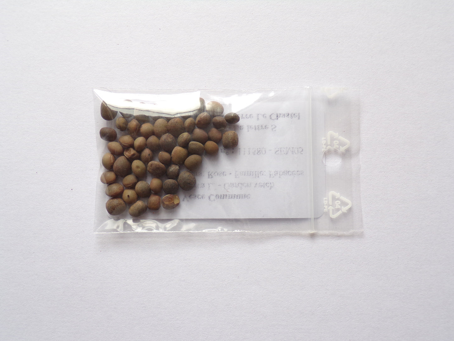 Vesce Commune - Vicia Sativa L. (Engrais Vert) SEM05