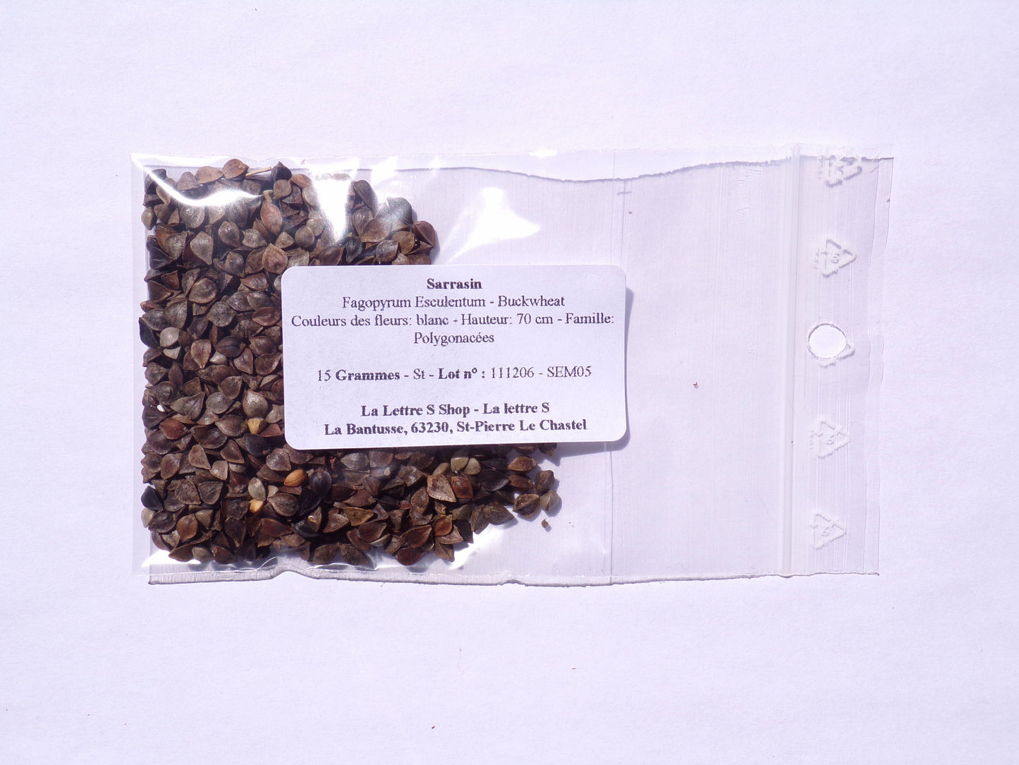 Sarrasin - Fagopyrum Esculentum (Engrais Vert) SEM05