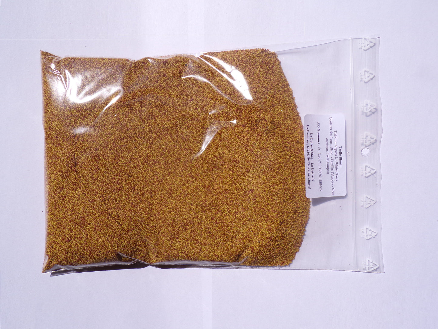 Trèfle Blanc - Trifolium Repens L (Engrais Vert) SEM05