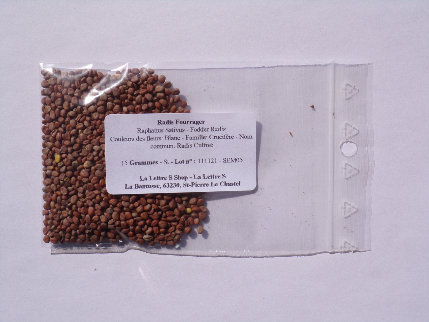 Radis Fourrager - Raphanus Sativus (Engrais Vert) SEM05