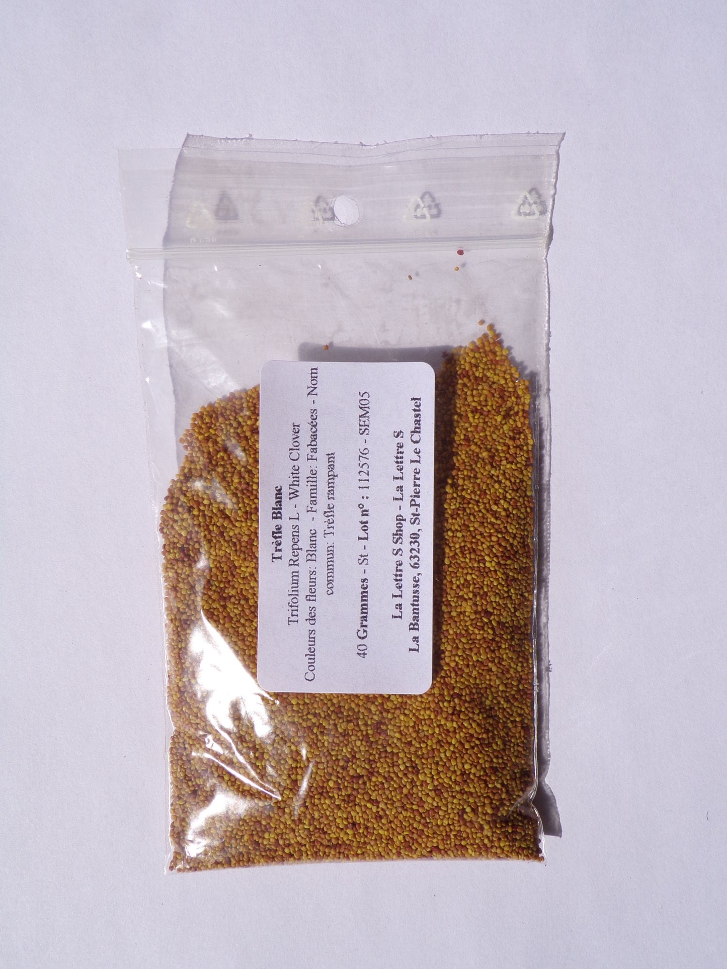 Trèfle Blanc - Trifolium Repens L (Engrais Vert) SEM05