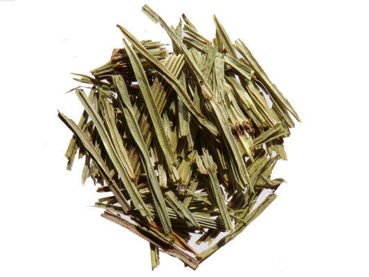 Prêle Séchée - SEM06