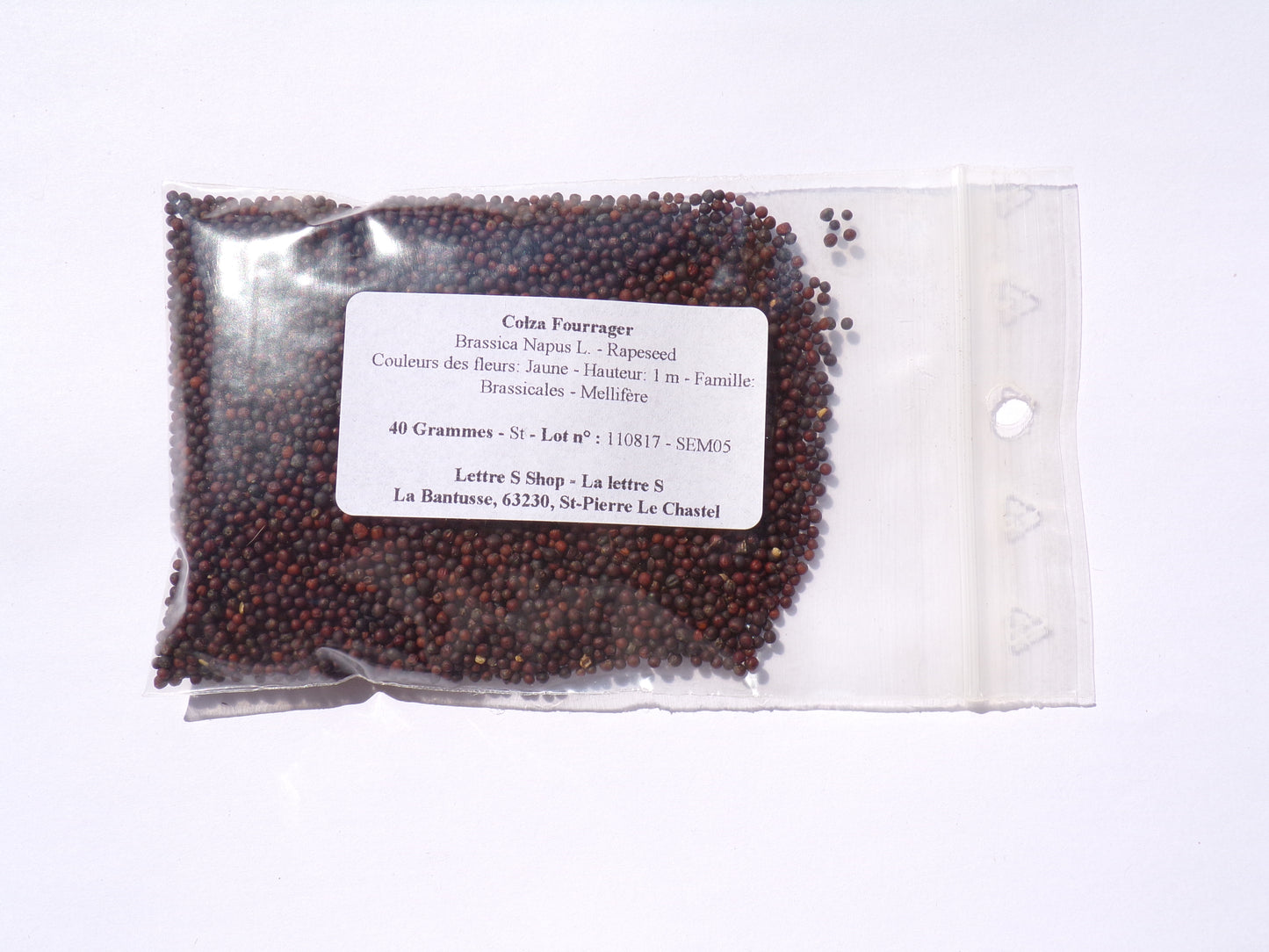 Colza Fourrager - Brassica Napus L. (Engrais Vert) SEM05