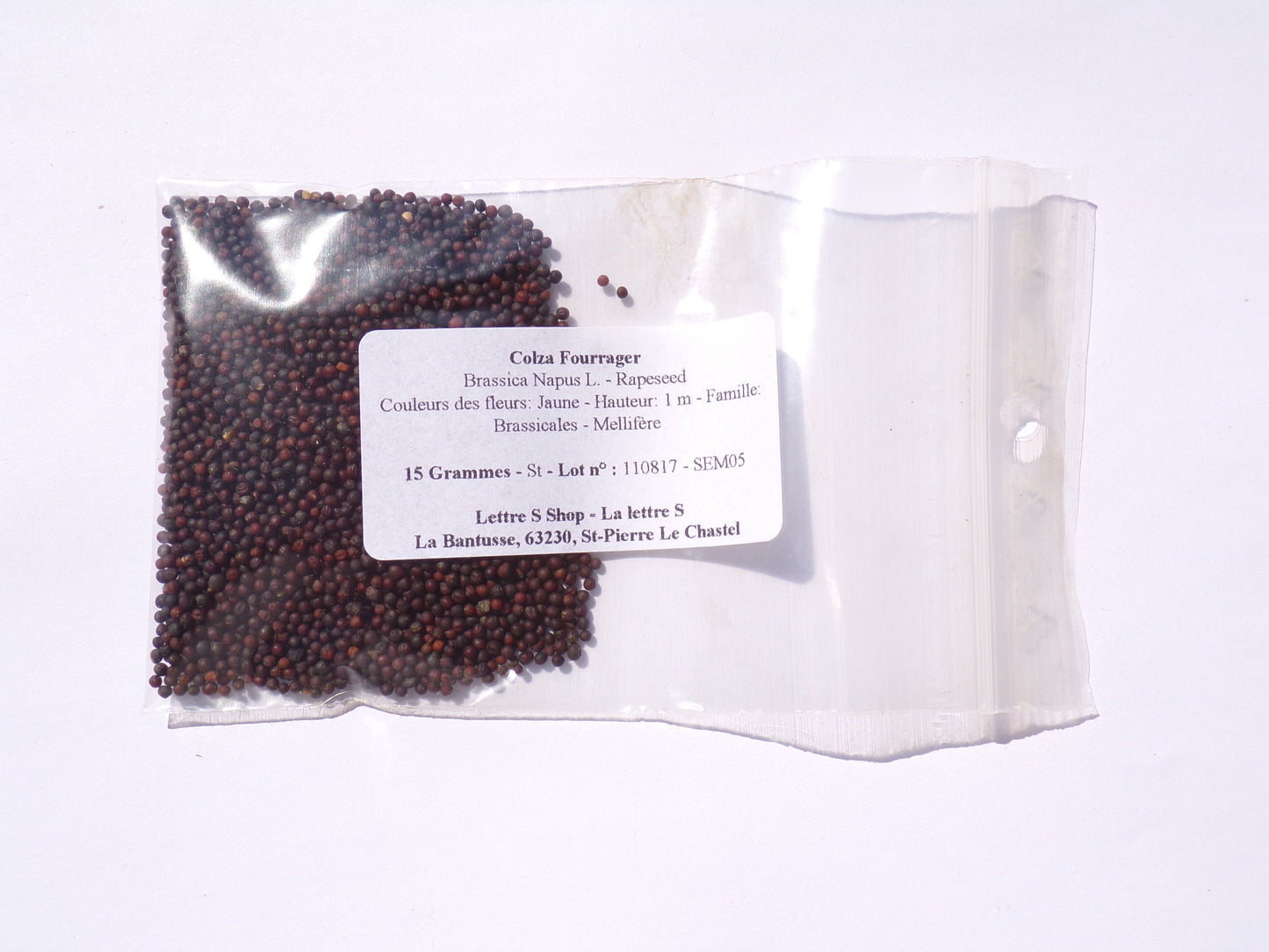 Colza Fourrager - Brassica Napus L. (Engrais Vert) SEM05