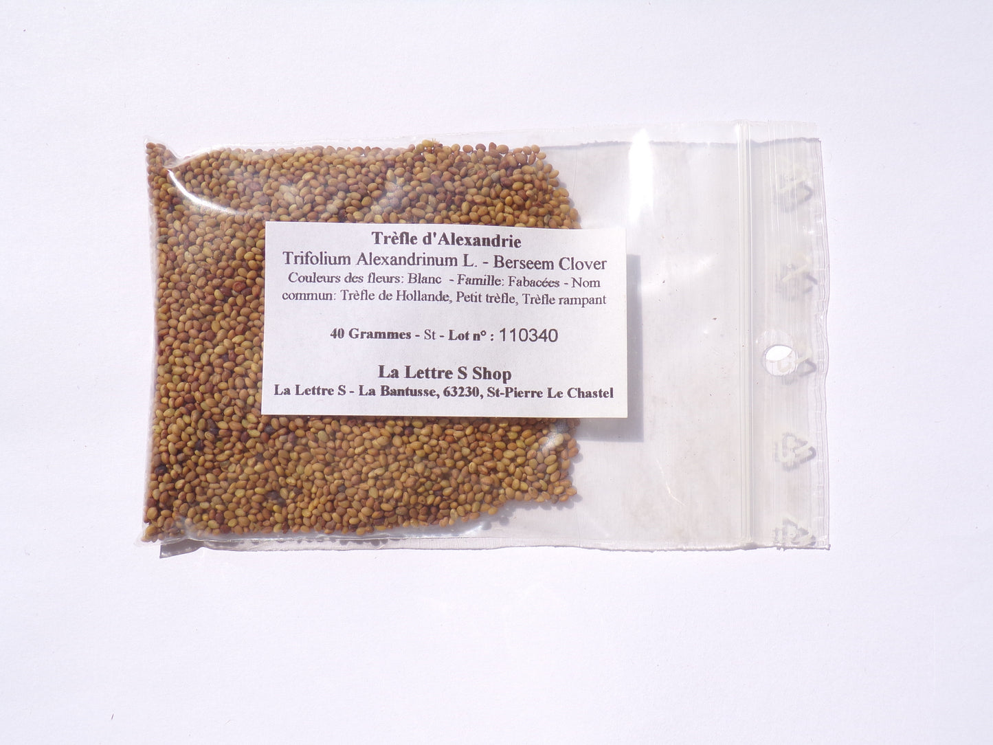 Trèfle d'Alexandrie - Trifolium Alexandrinum L. (Engrais Vert) SEM05