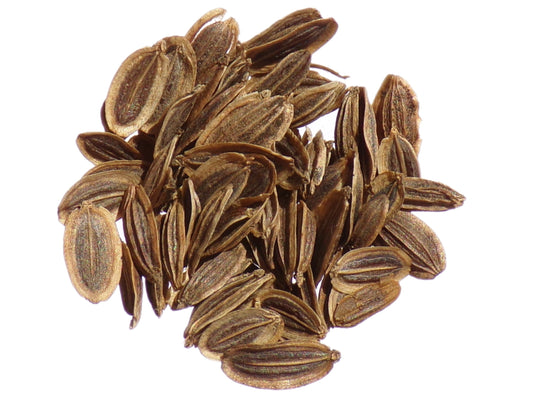 Aneth Officinale Bio - Anethum Graveolens L. - SEM02