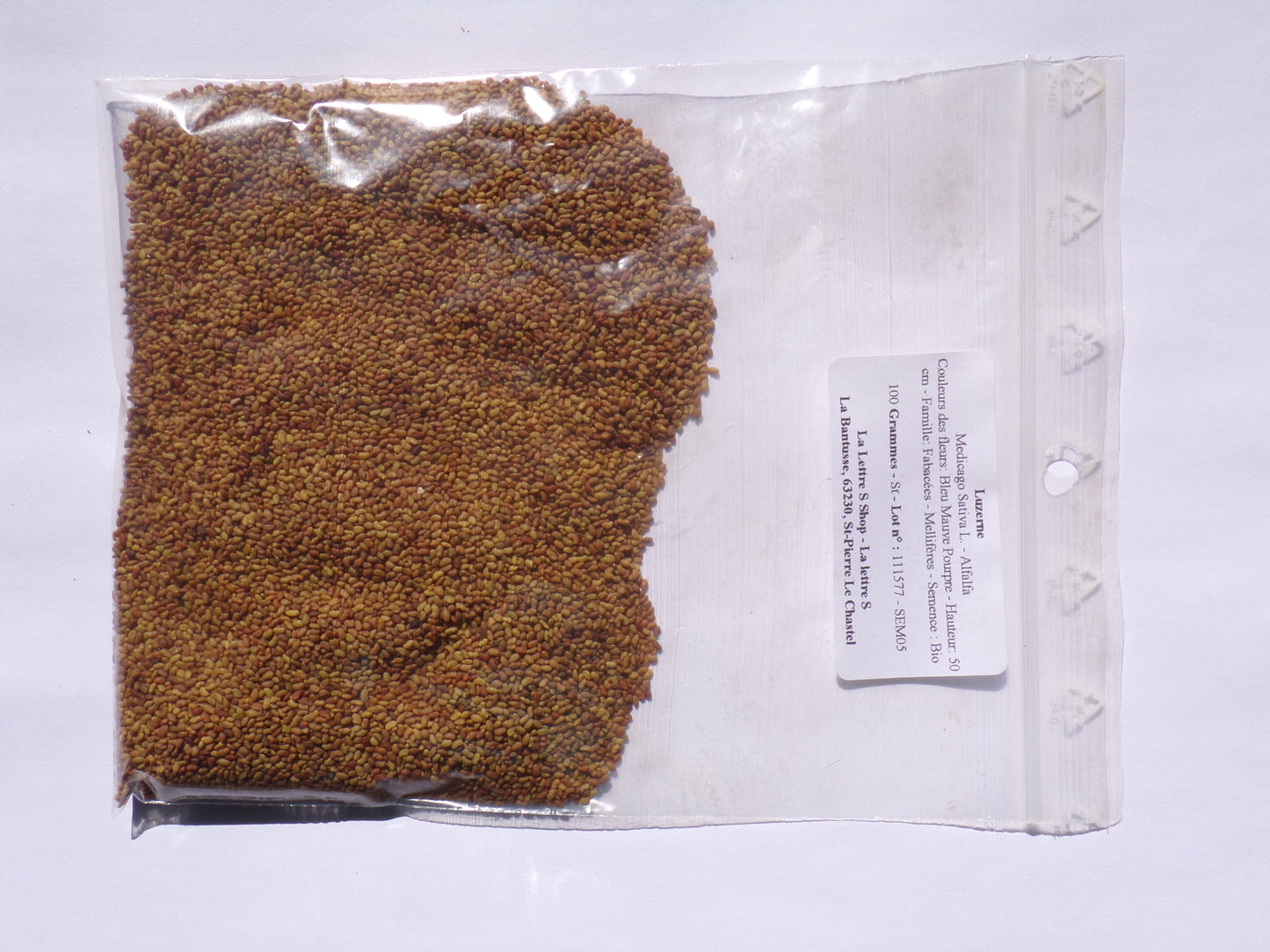 Luzerne - Medicago Sativa L. (Engrais Vert) SEM05