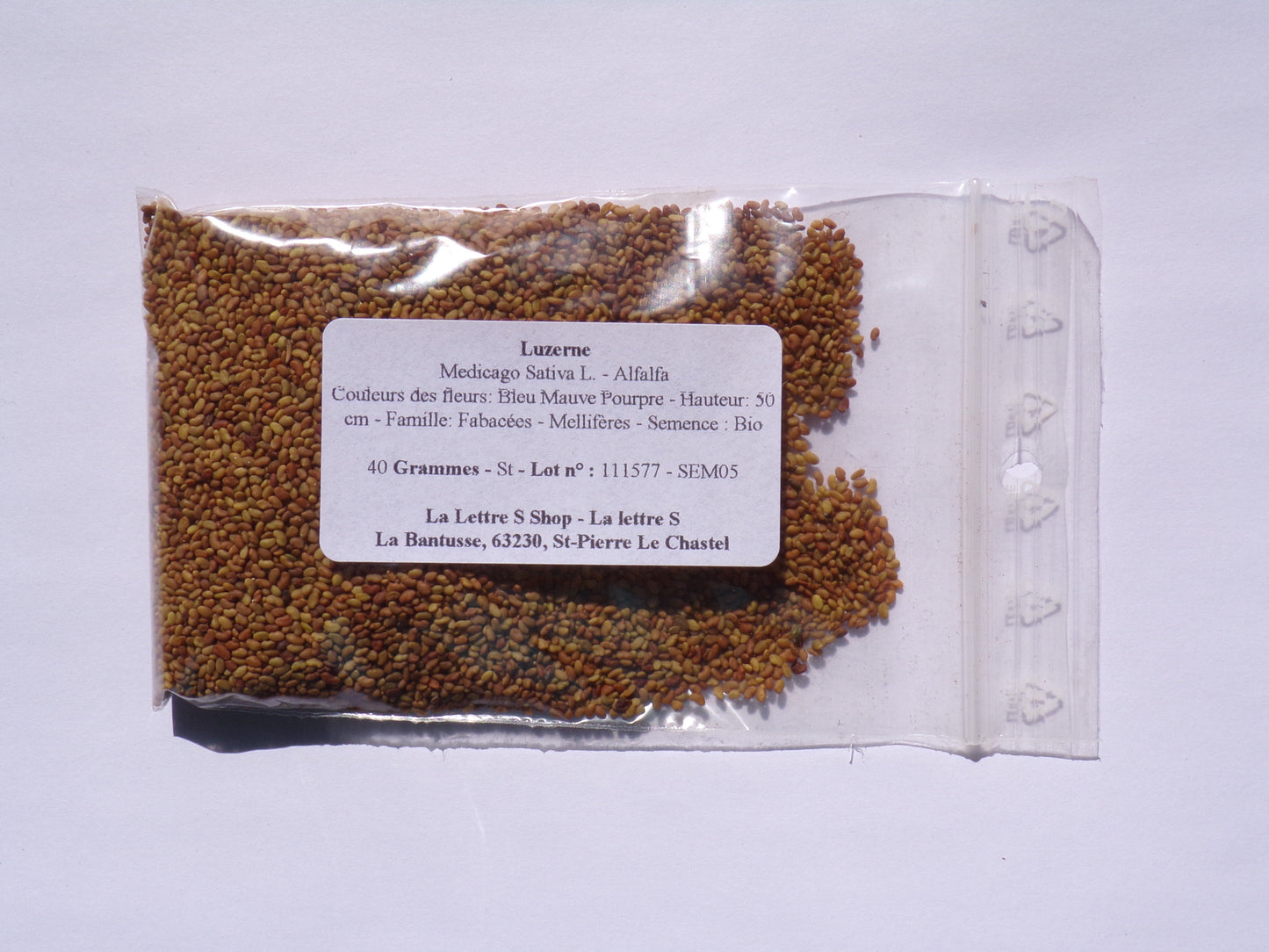 Luzerne - Medicago Sativa L. (Engrais Vert) SEM05