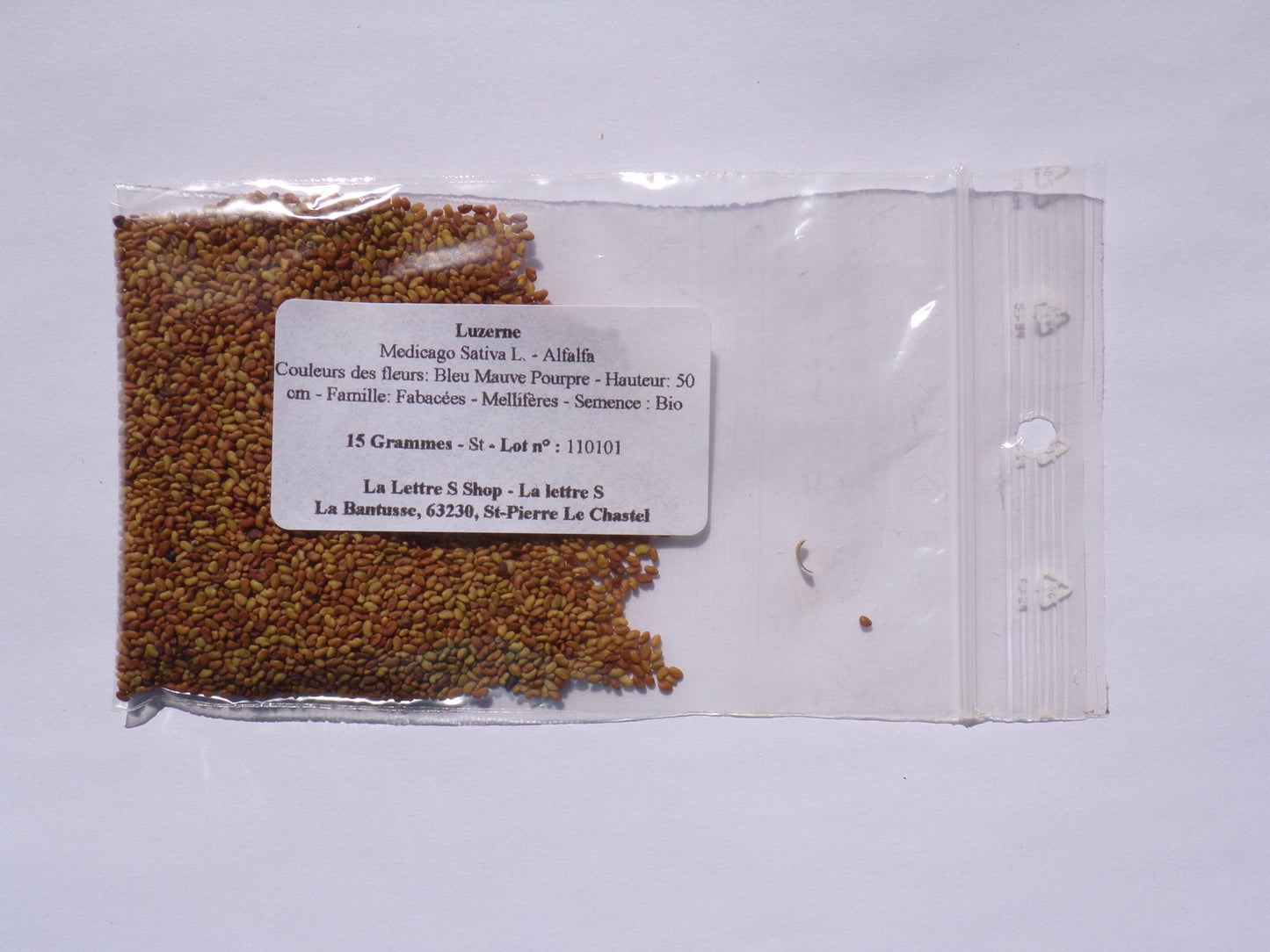 Luzerne - Medicago Sativa L. (Engrais Vert) SEM05