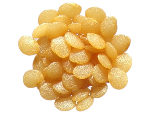 Physalis Coqueret du Pérou Bio - Physalis Peruviana - SEM02