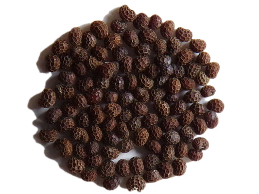 Pavot Black Peony AB - Papaver Somniferum Var. Paeoniflorum - SEM03