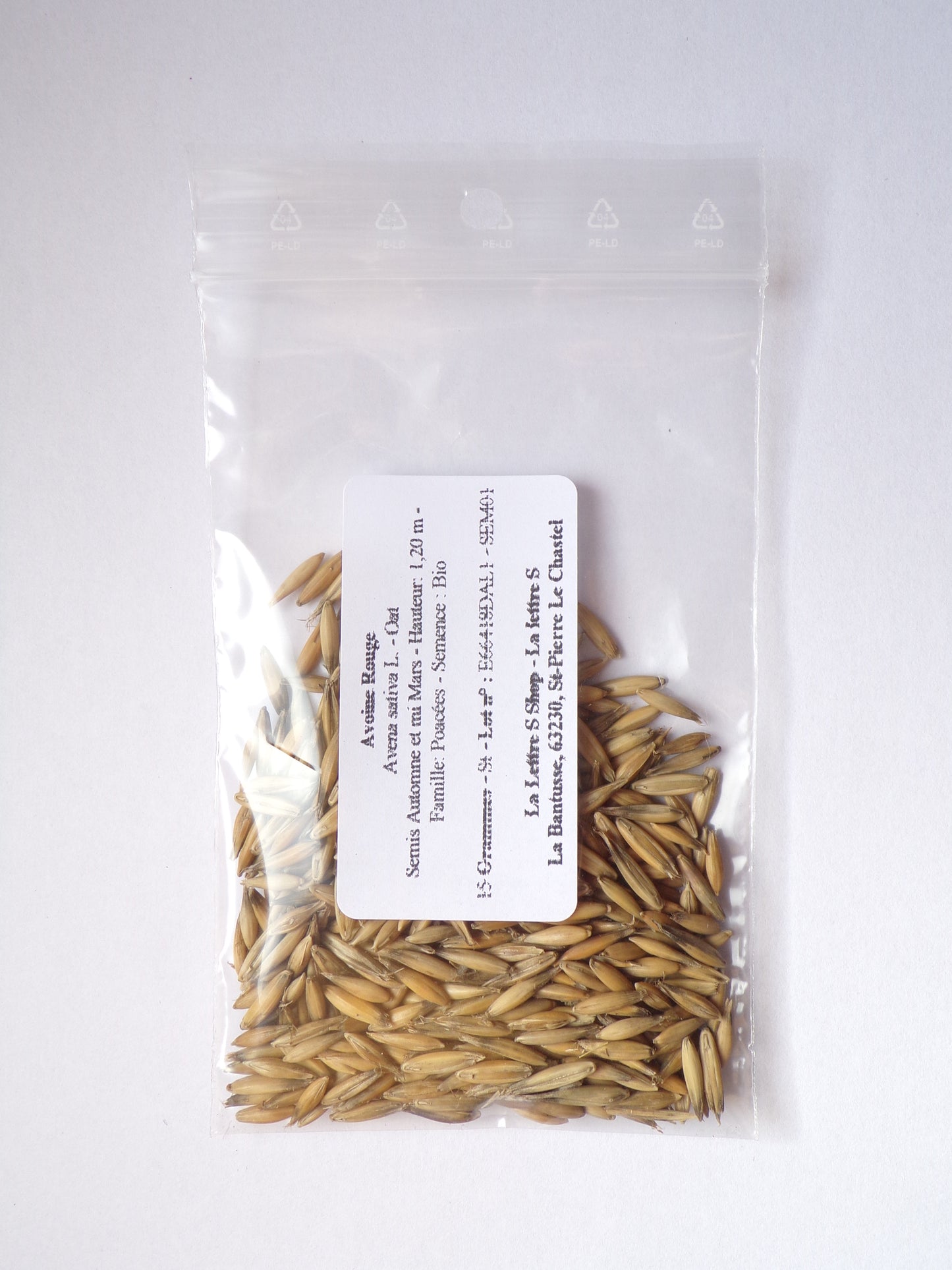 Avoine Rouge  - Avena sativa L. (Engrais Vert) SEM01