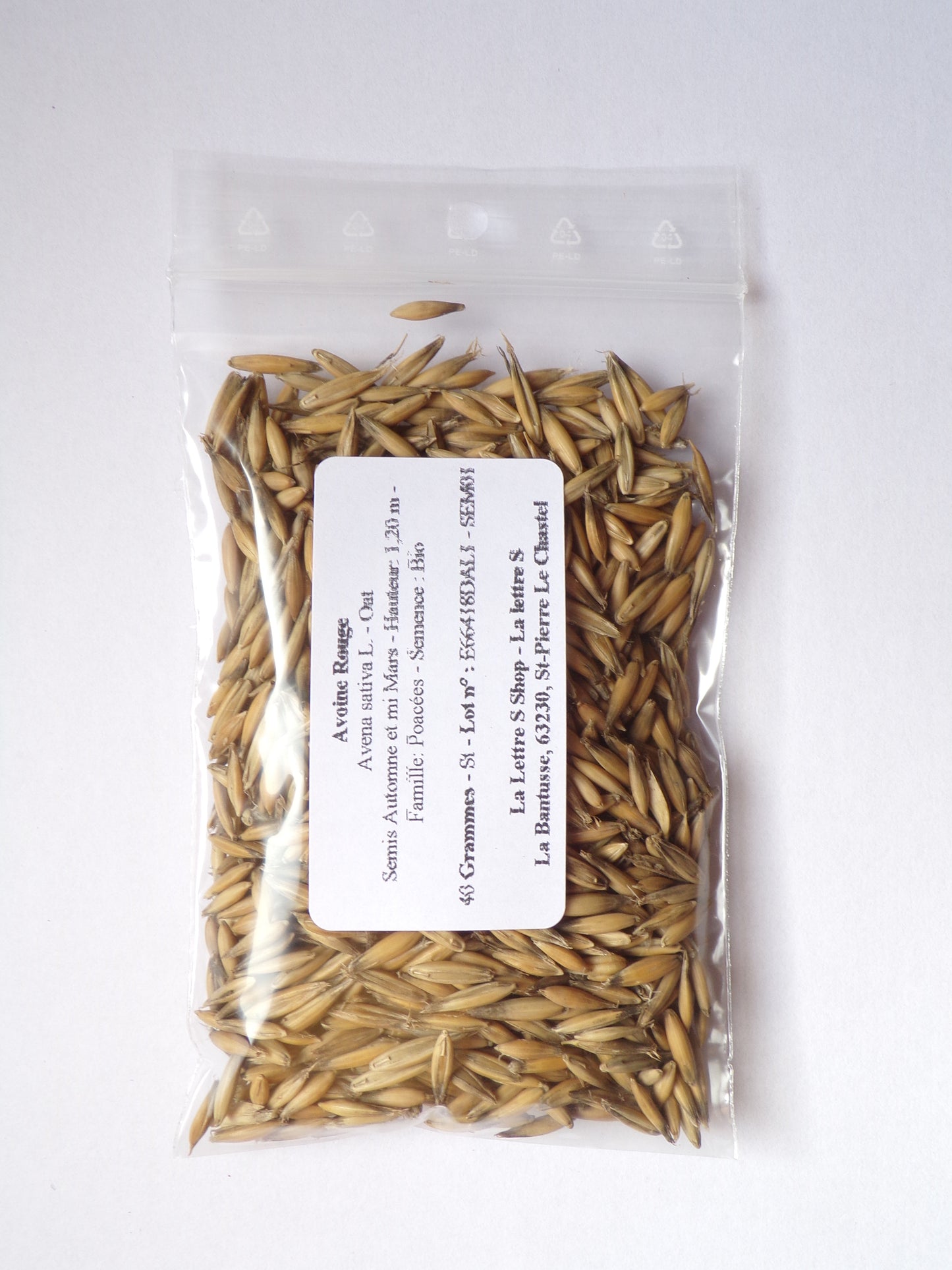 Avoine Rouge  - Avena sativa L. (Engrais Vert) SEM01