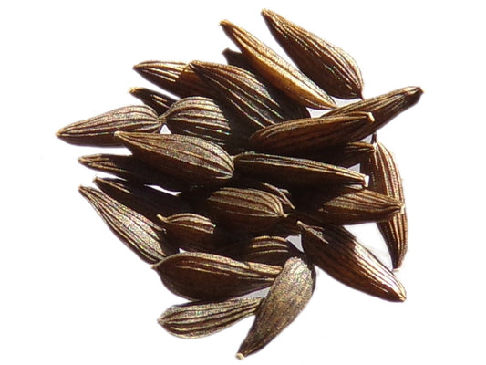 Laitue de Printemps - Lactuca Sativa – SEM06