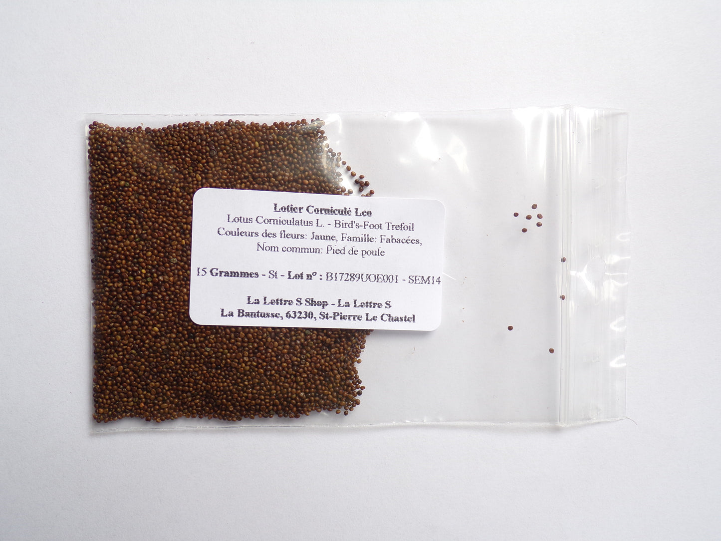 Lotier Corniculé - Lotus Corniculatus L. (Engrais Vert) SEM14