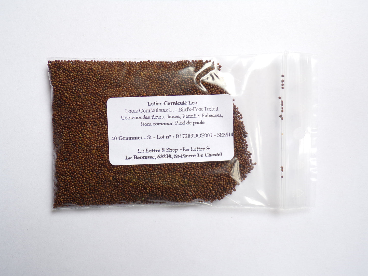 Lotier Corniculé - Lotus Corniculatus L. (Engrais Vert) SEM14