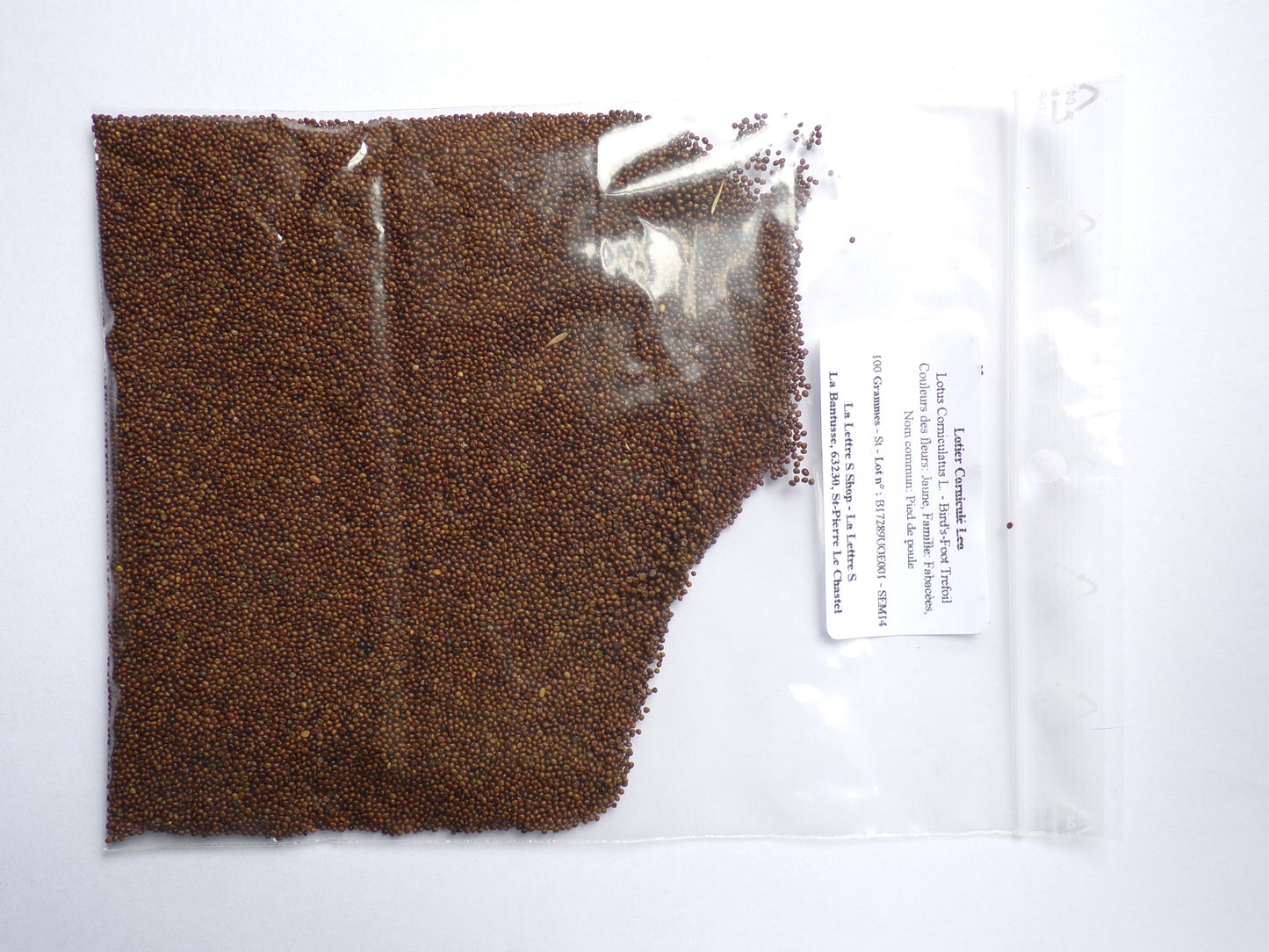 Lotier Corniculé - Lotus Corniculatus L. (Engrais Vert) SEM14