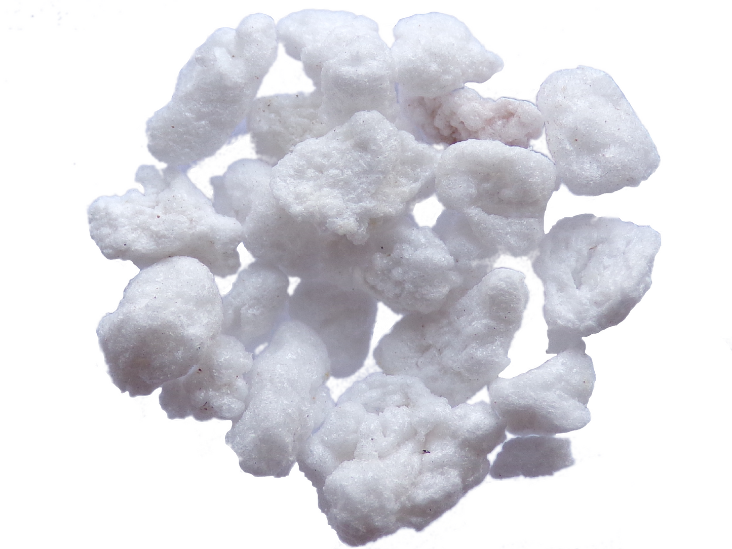 Perlite - SEM06
