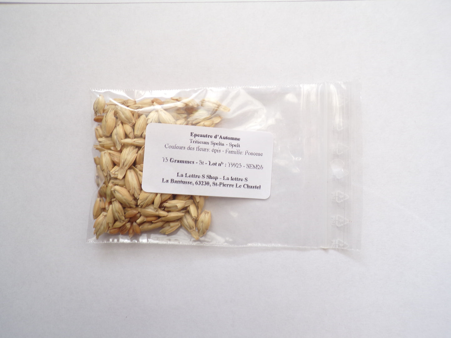 Épeautre d’Automne - Triticum Spelta (Engrais Vert) SEM26