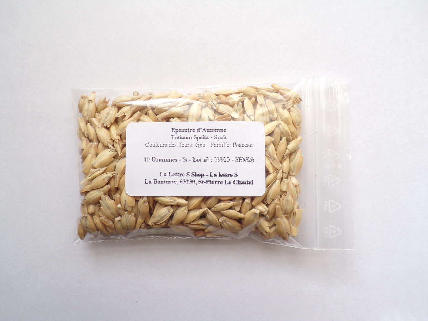 Épeautre d’Automne - Triticum Spelta (Engrais Vert) SEM26