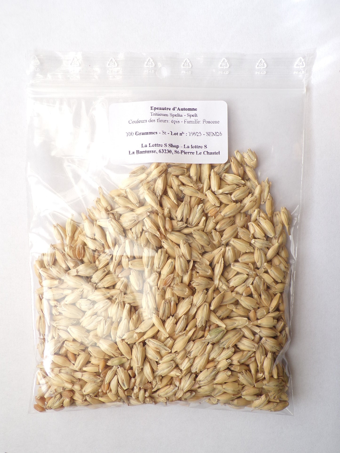 Épeautre d’Automne - Triticum Spelta (Engrais Vert) SEM26