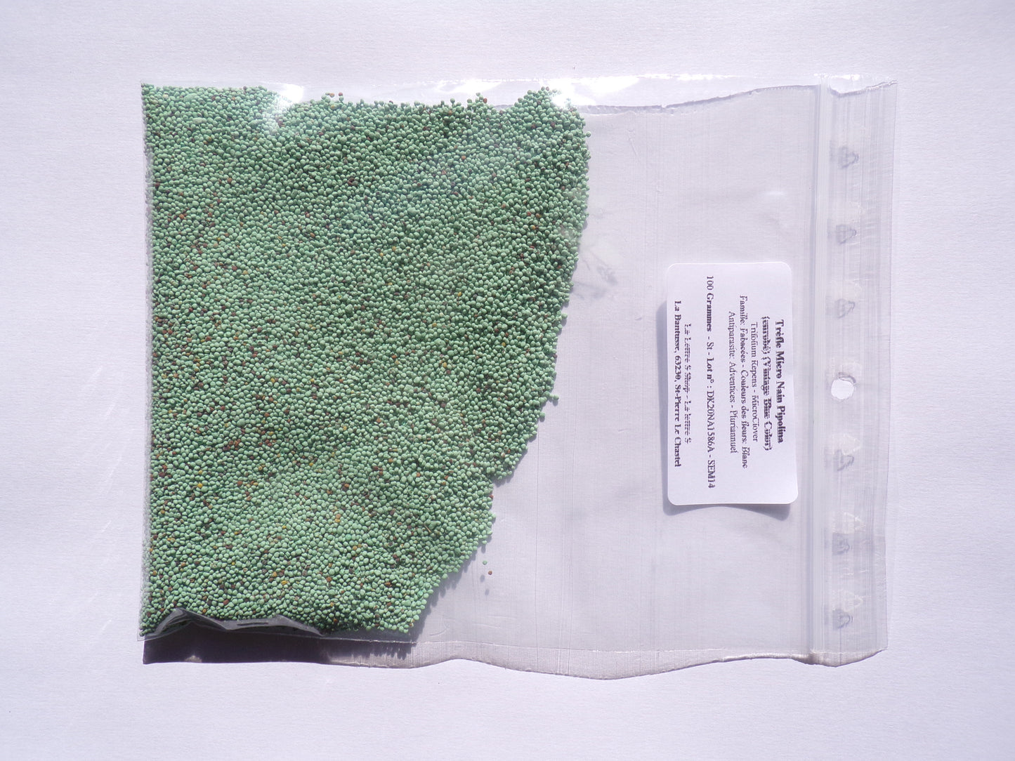 Trèfle Micro Nain (Engrais Vert) SEM14