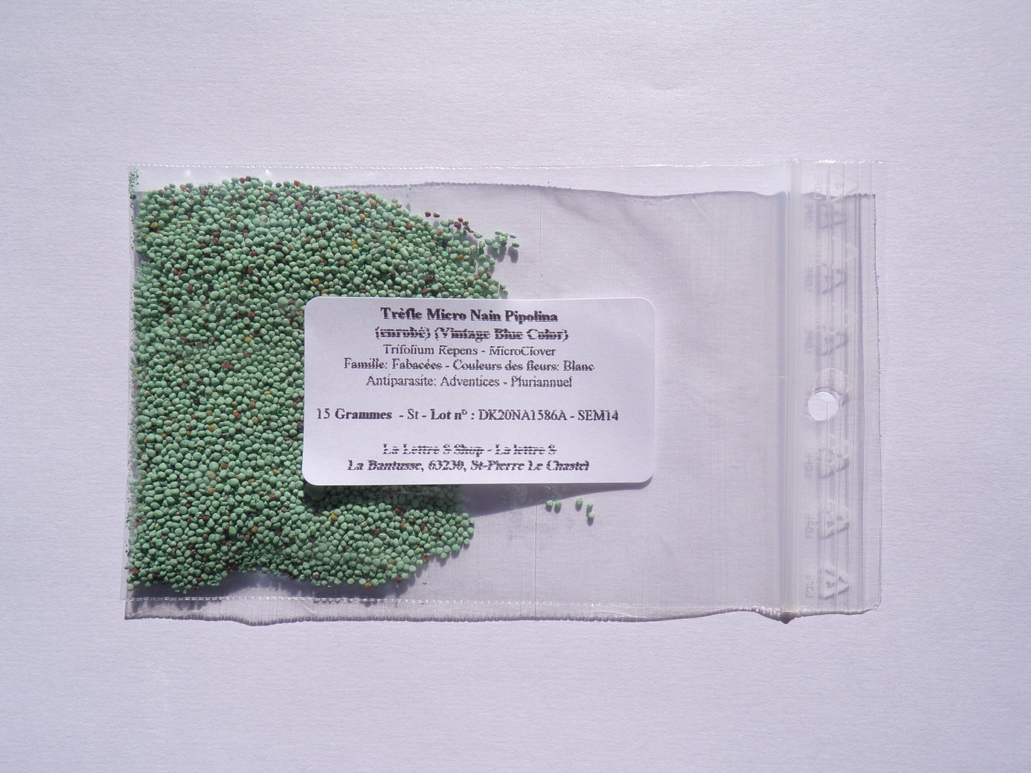 Trèfle Micro Nain (Engrais Vert) SEM14