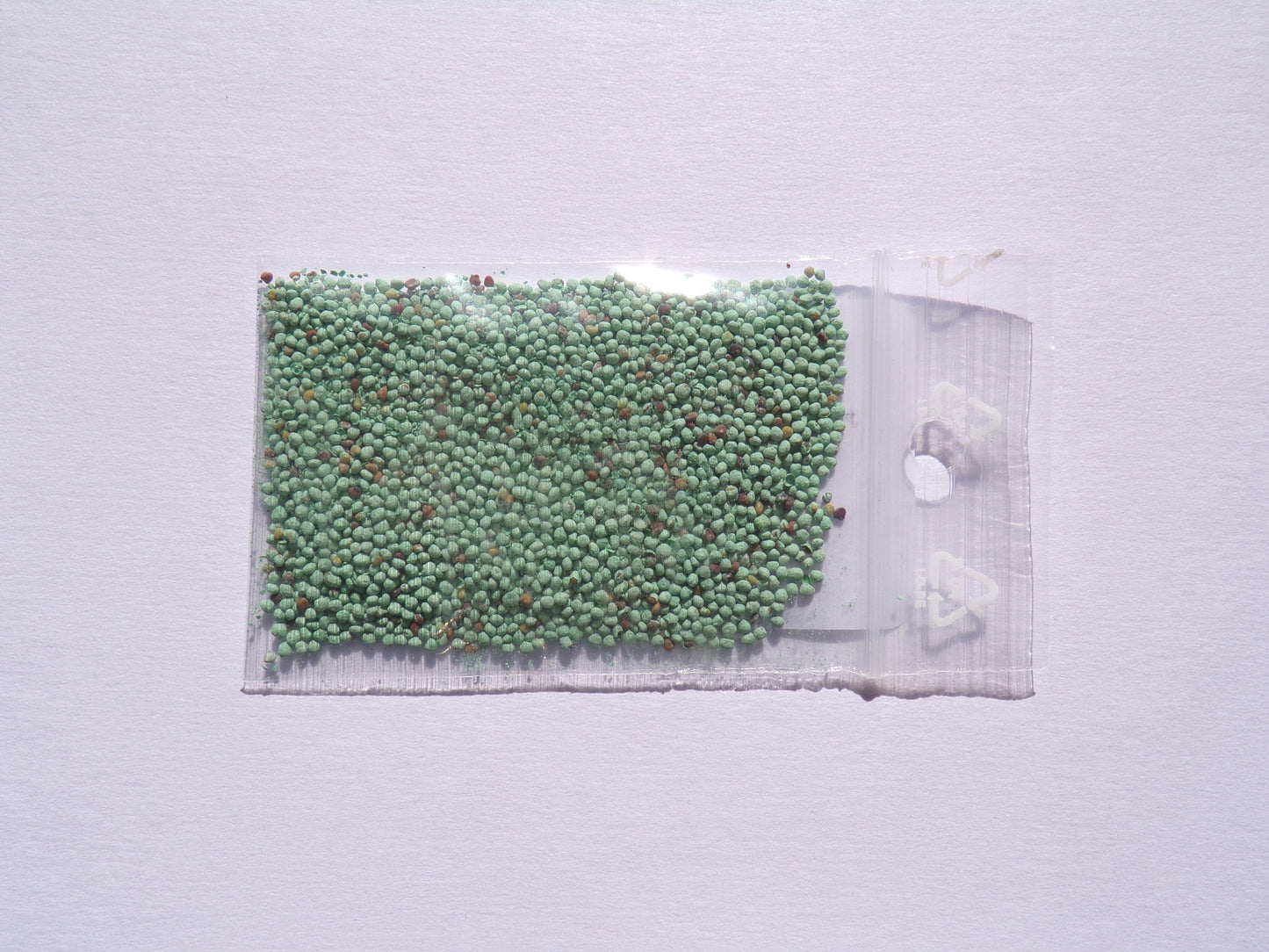 Trèfle Micro Nain (Engrais Vert) SEM14