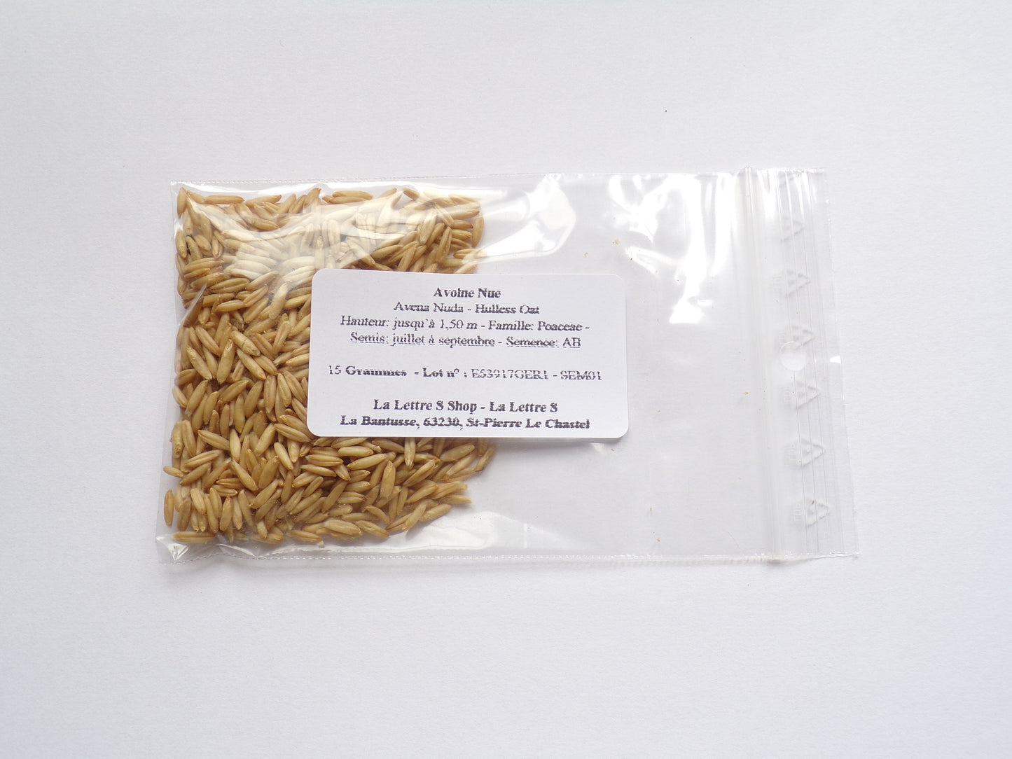 Avoine Nue - Avena Nuda (Engrais Vert) SEM01